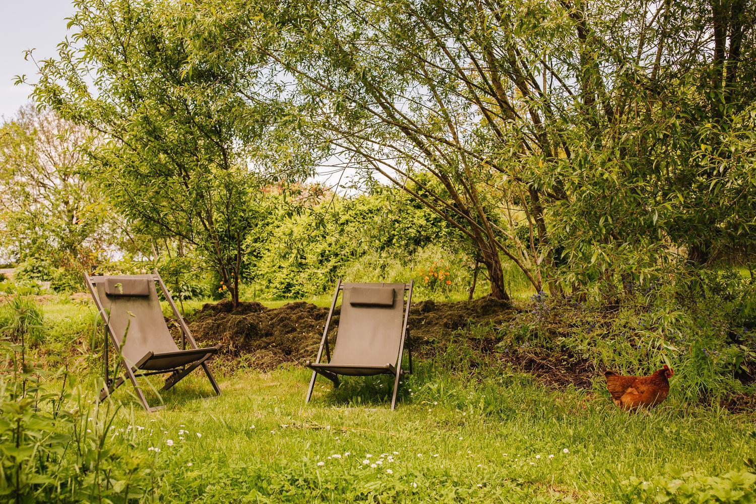 Ecolodge La Belle Verte Saint-M'herve Экстерьер фото